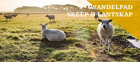 Wandelpad Skéép & Lantskap met trekpontje over het kanaal